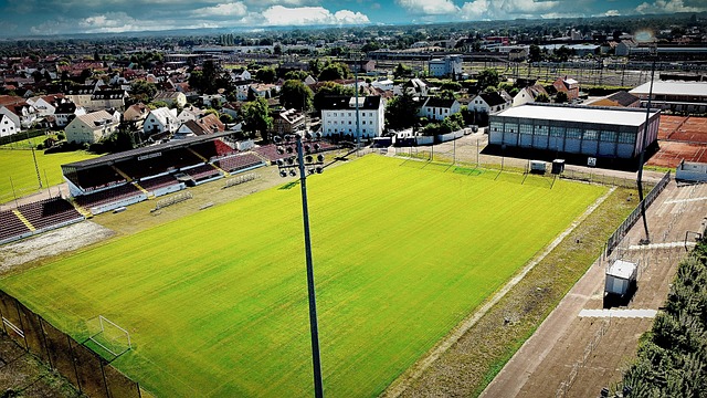 帕尔梅拉斯 帕尔梅拉斯