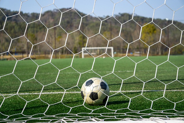 特别是在此 特别是在此