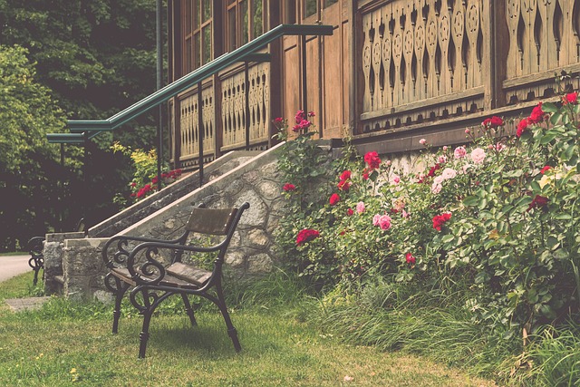 热刺球迷的 热刺球迷的