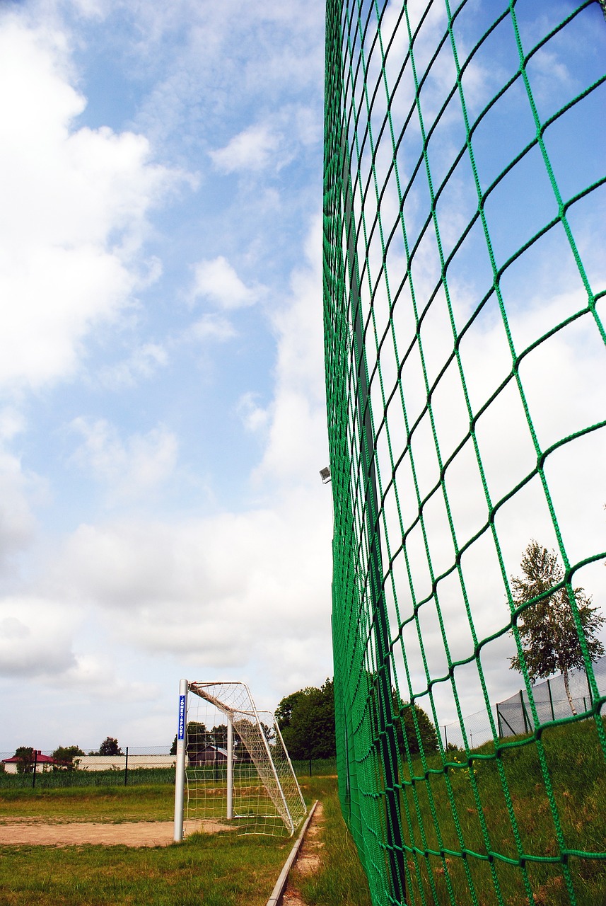 科学家们的 科学家们的